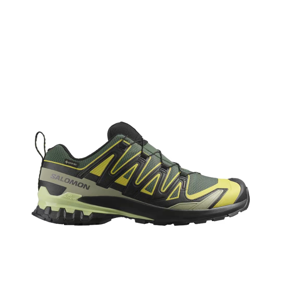 Salomon XA Pro 3D V9 GTX : Cha - Salomon Shoes Xa Pro 3D avis et prix