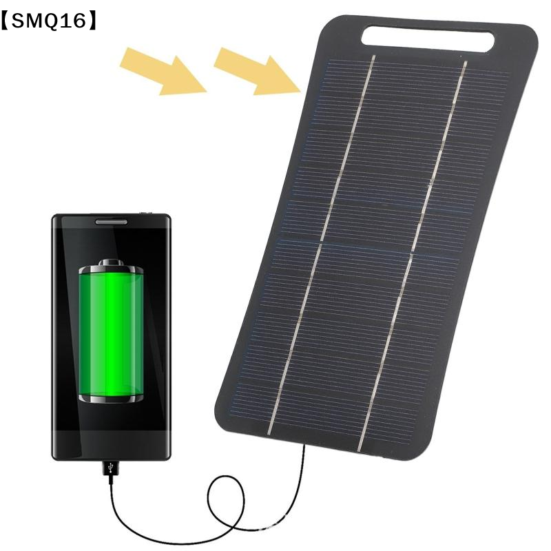 Chargeur solaire portable 2W a - Usb Charger Dynamo avis et prix