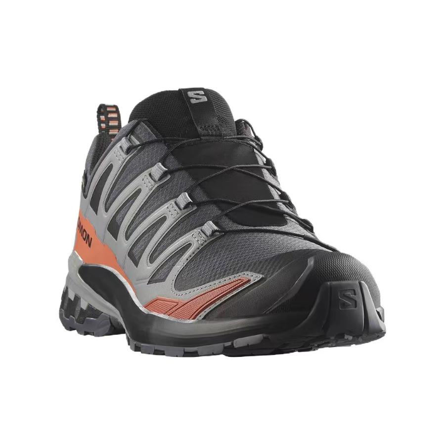Salomon XA Pro 3D V9 GTX : Cha - Salomon Shoes Xa Pro 3D avis et prix
