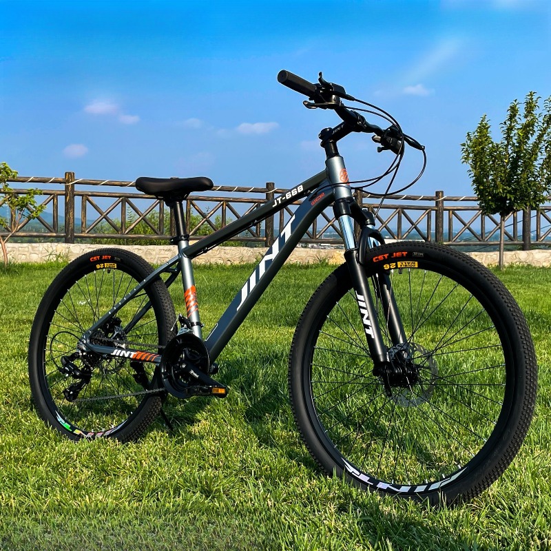 Vélo de Route Commuter en Alli - Commuter Biking avis et prix